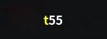 t55